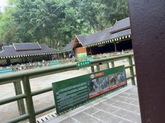 -野象谷景区