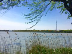 -太阳岛度假酒店