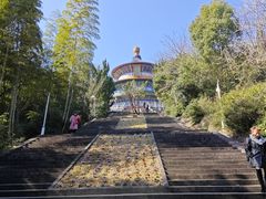 -天下玉苑