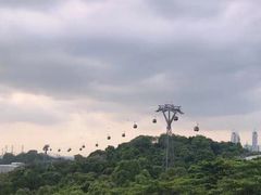 -圣淘沙天际线斜坡滑车