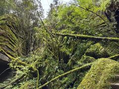 -梭布垭石林景区