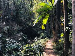 -滴水岩森林公园