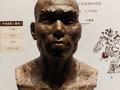 -柳州白莲洞洞穴科学博物馆