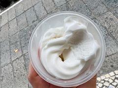 椰子雪糕-洪馨椰子