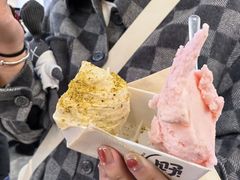 -野人先生现做冰淇淋(西安赛格店)