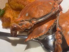 -星伦多自助料理(永旺店)