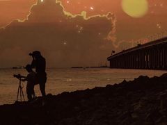 -宝安西湾红树林湿地公园