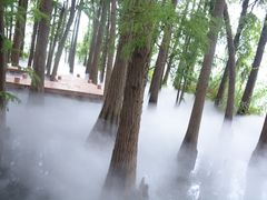 -东湖落雁景区