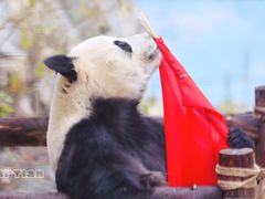 -泉州海丝野生动物世界