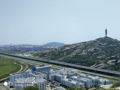 -洋山深水港