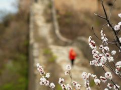 -蟠龙山长城景区
