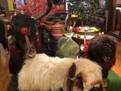 -吉祥圣雪藏餐