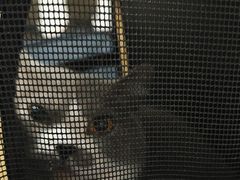 -谐和贝康宠物医院24小时·宠保定点(急重症转诊中心)