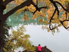 -溪口-滕头旅游景区