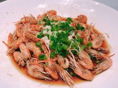 -沪碟·精菜坊(闵行店)