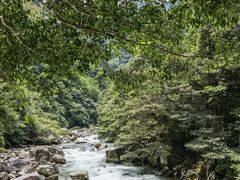 -炎陵县神农谷国家森林公园