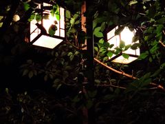 -萬國春·中菜馆(颐和公馆店)