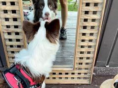 -Supine Bistro溯泮餐厅