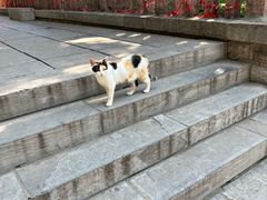 -四门塔风景区