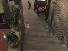 -杨桃院子咖啡吧(中华红墨店)