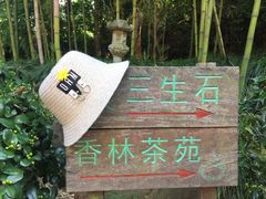 -杭州西湖风景名胜区-三生石
