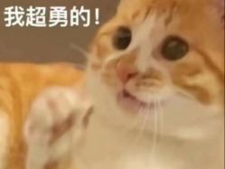 -玛奇朵婚纱摄影