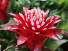 -昆明国际花卉拍卖交易中心