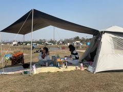 -春花秋色城市公园