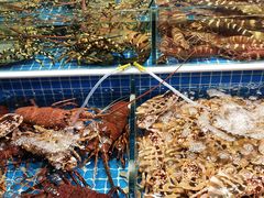 -板桥海鲜广场(文明东店)