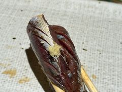 -镹·鱼料理  国产鱼使用店