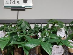 -鹿岛会员店 (龙湖三千集天街店)