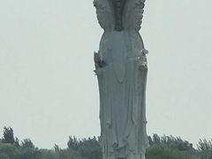 -白洋淀景区