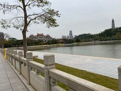 -顺峰山公园