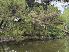 -叶家花园