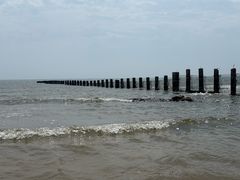 -日照海滨国家森林公园