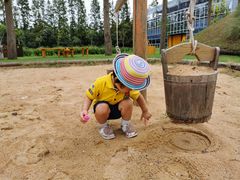 -上海长兴岛郊野公园