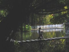 -燕晗山郊野公园