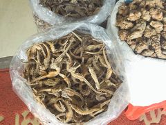 -清平中药材专业市场