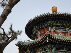 -迎泽公园