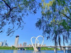 -长白岛森林公园