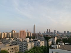 -华中科技大学同济医学院附属同济医院(汉口院区)