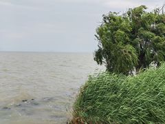 -捞渔河湿地公园