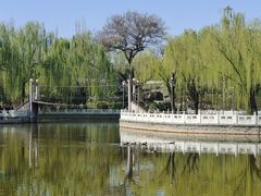 -丰台花园