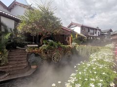 -蝴蝶泉公园