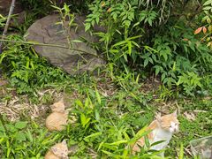 -宜兴龙背山森林公园