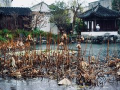 -艺圃