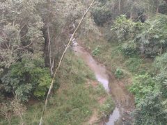 -野象谷景区