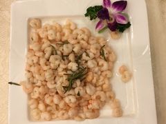 -楼外楼(西湖景区孤山路店)