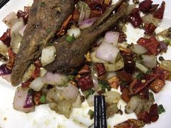 -怪怪龙虾·澳洲蓝龙王·深夜食堂(惊驾路店)