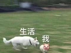 -愿者上钩·纸包鱼(翻身店)